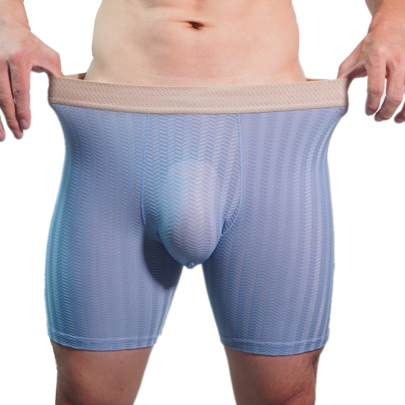 Mens Boxer Shorts Homme Nylon  - Long Leg Trunk Men recension och pris