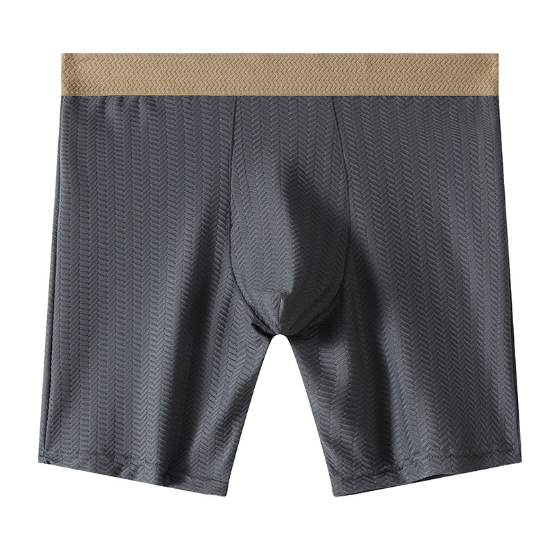 Mens Boxer Shorts Homme Nylon  - Long Leg Trunk Men recension och pris