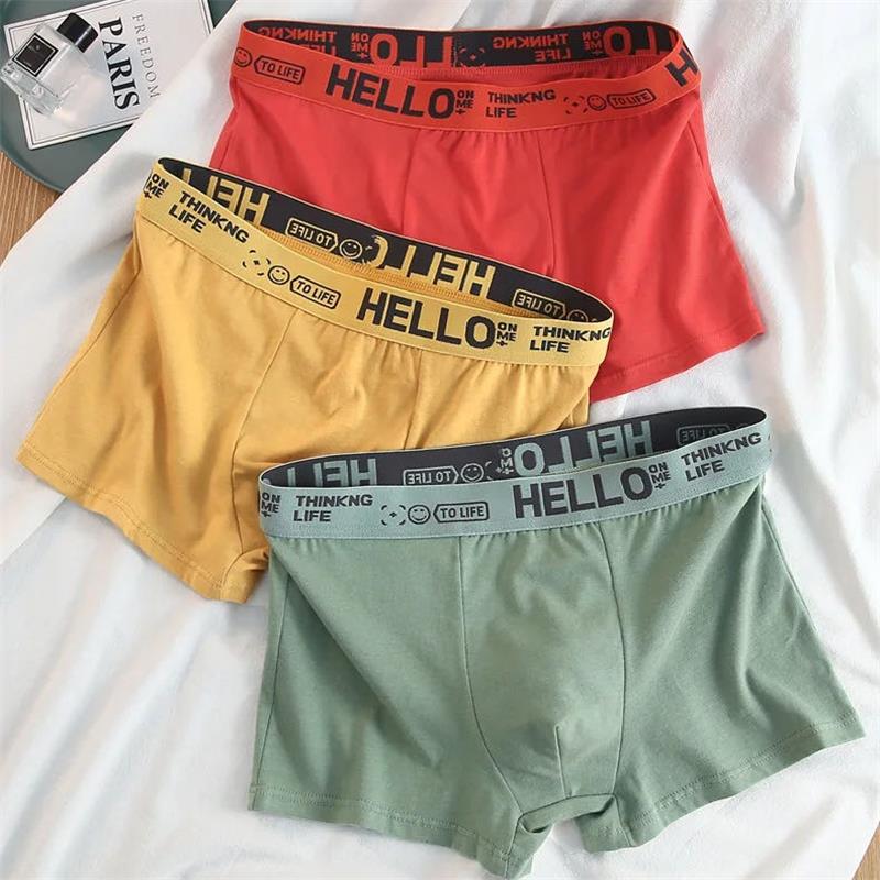 10Pieces/ Men's Underwear Men  - Boxer Shorts Modal recension och pris