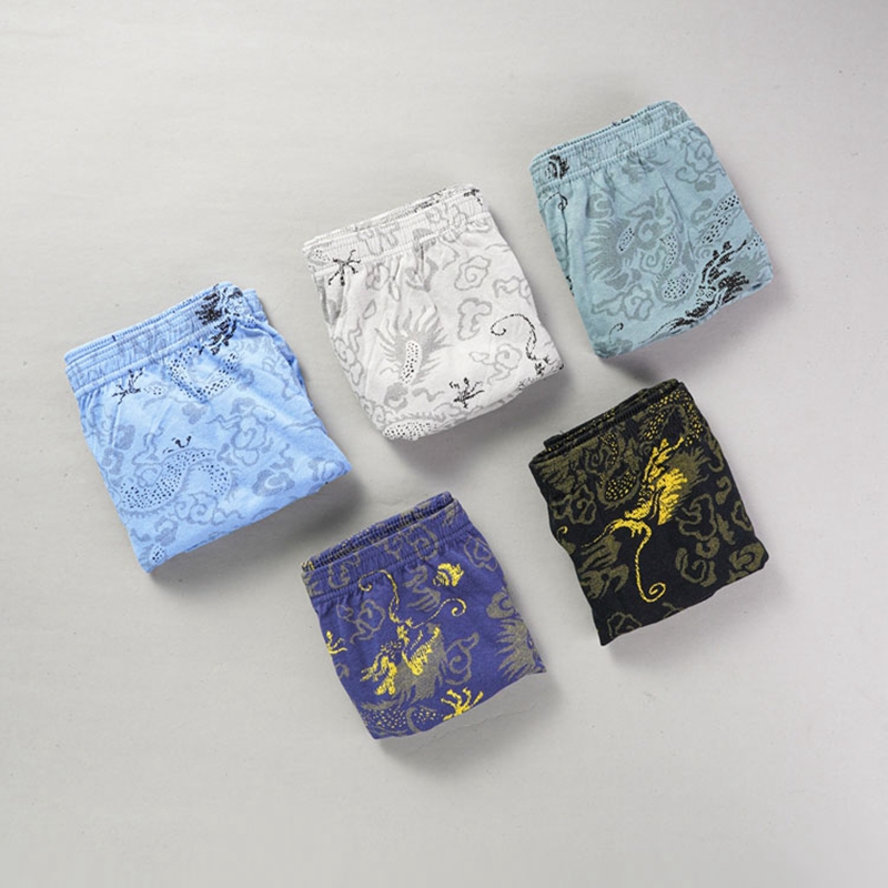 10 Pcs/Lot 100% Cotton Men's P - Multi Pack Underwear recension och pris