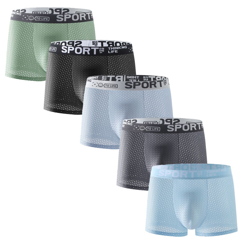 5PCS Men's Ice Silk Mesh Boxer - Mesh Sport Boxer recension och pris