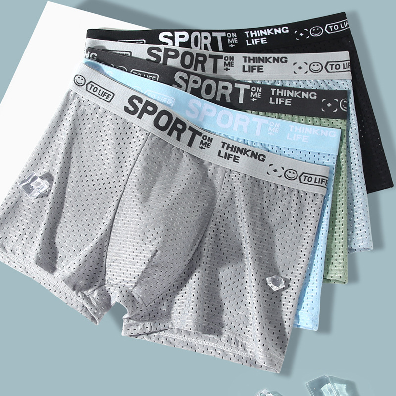 5PCS Men's Ice Silk Mesh Boxer - Mesh Sport Boxer recension och pris