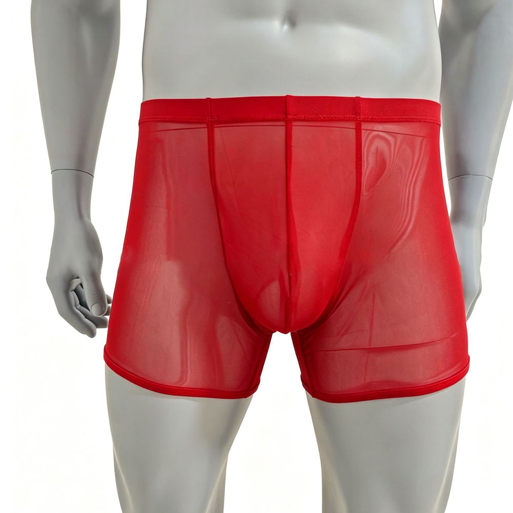 Men Mesh See-through Ultra-thi - Long Leg Trunk Men recension och pris