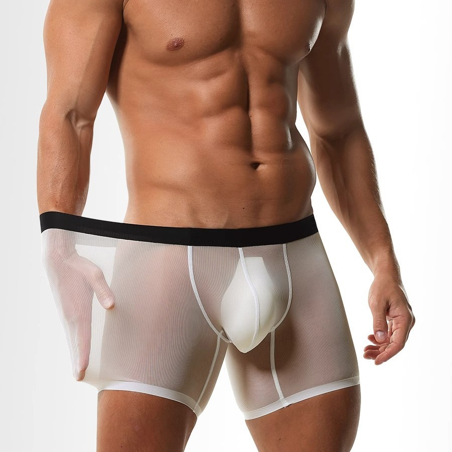 Mens Long Leg Boxer Shorts Ice - Long Leg Trunk Men recension och pris